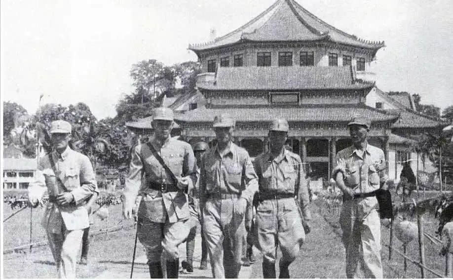 从一张广州大象照片说开去 || 荔人行 从一张广州大象照片说开去 || 荔人行