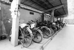 时隔三十年,海珠桥再现浩浩荡荡的单车大军…… 时隔三十年,海珠桥再现浩浩荡荡的单车大军……