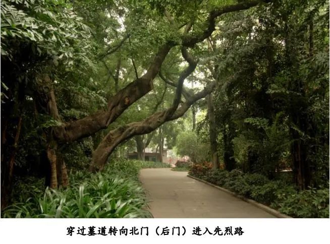 大东门记忆 大东门记忆