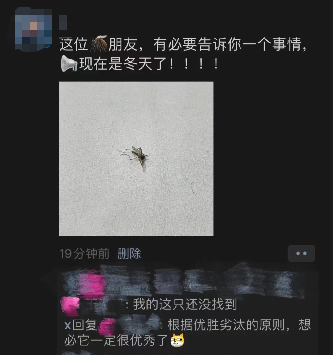谁说广州不下雪:网传周末雪天重现? 谁说广州不下雪:网传周末雪天重现?