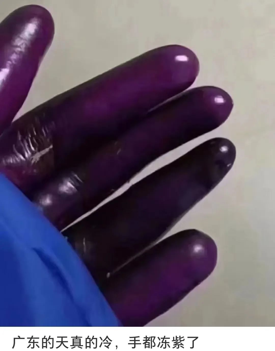 谁说广州不下雪:网传周末雪天重现? 谁说广州不下雪:网传周末雪天重现?