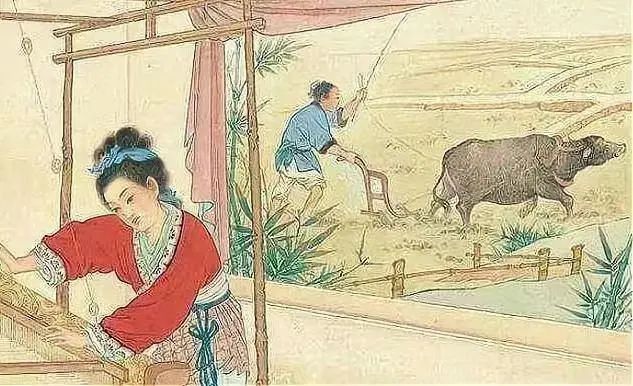 杨紫琼金球封后:“打女”为何更难成名? 杨紫琼金球封后:“打女”为何更难成名?