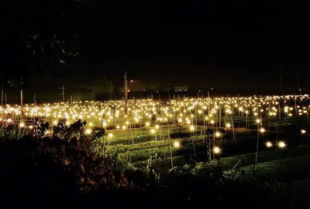 只有安琪儿和精神病院?这是对芳村的最大误解! 只有安琪儿和精神病院?这是对芳村的最大误解!