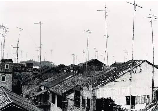 42年前这档广东综艺节目,比春晚好看多了…… 42年前这档广东综艺节目,比春晚好看多了……