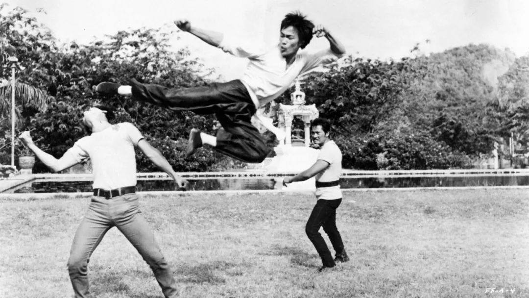 杨紫琼金球封后:“打女”为何更难成名? 杨紫琼金球封后:“打女”为何更难成名?