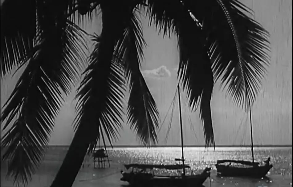 七十年代海南儋州农村见闻 || 李海明