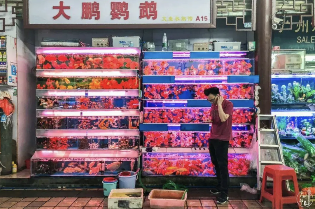 只有安琪儿和精神病院?这是对芳村的最大误解! 只有安琪儿和精神病院?这是对芳村的最大误解!