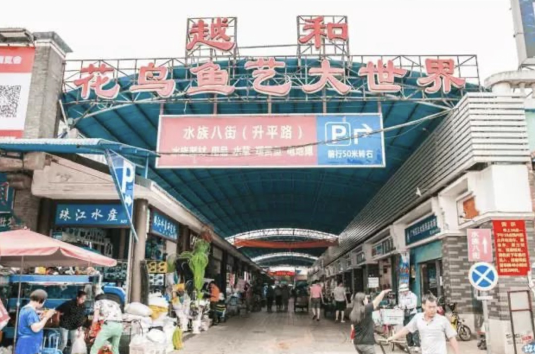 只有安琪儿和精神病院?这是对芳村的最大误解! 只有安琪儿和精神病院?这是对芳村的最大误解!