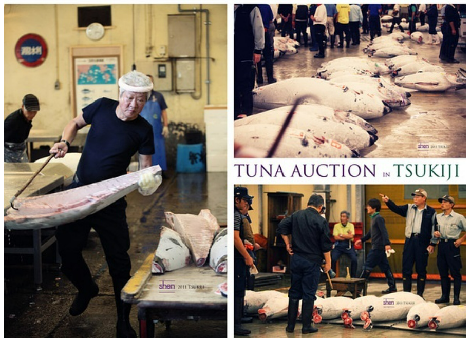 高中生玩嘢,寿司郎濑嘢!市值一日暴跌170亿…… 高中生玩嘢,寿司郎濑嘢!市值一日暴跌170亿……