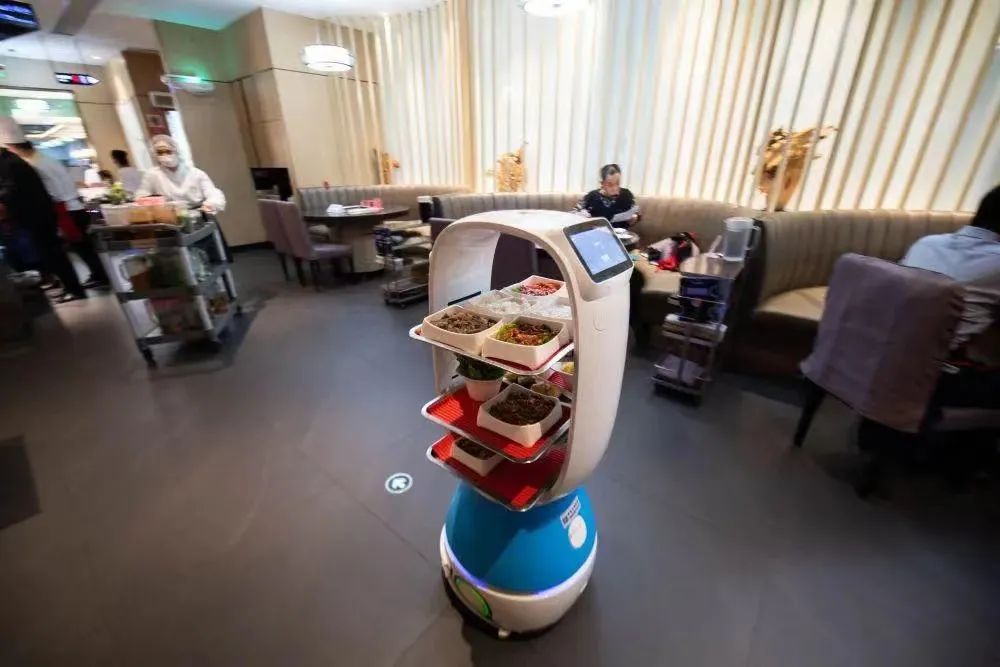 高中生玩嘢,寿司郎濑嘢!市值一日暴跌170亿…… 高中生玩嘢,寿司郎濑嘢!市值一日暴跌170亿……