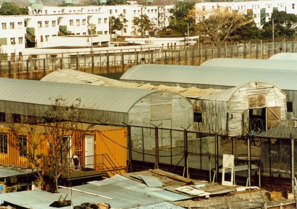 奥斯卡最佳男配角关继威,揭开“北漏洞拉”血泪史 奥斯卡最佳男配角关继威,揭开“北漏洞拉”血泪史