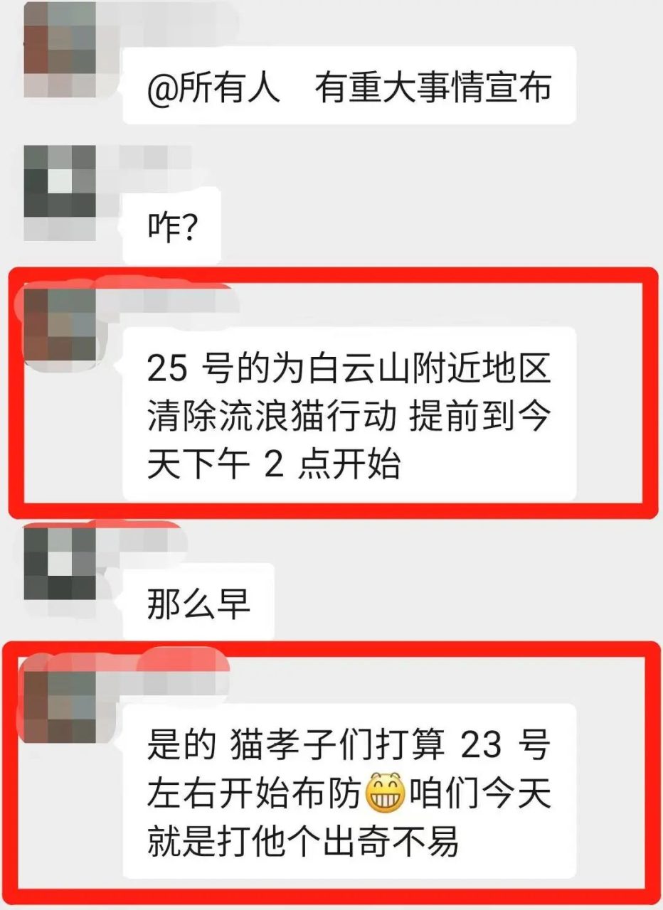 虐猫团伙预谋在广州公园下毒手,流浪猫命运如何? 虐猫团伙预谋在广州公园下毒手,流浪猫命运如何?
