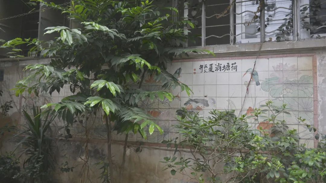 广州瓷画 广州瓷画