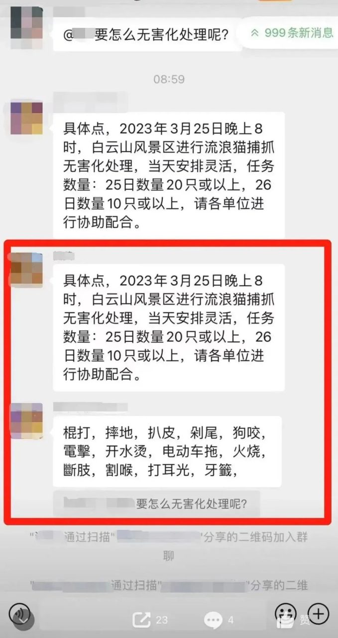 虐猫团伙预谋在广州公园下毒手,流浪猫命运如何? 虐猫团伙预谋在广州公园下毒手,流浪猫命运如何?