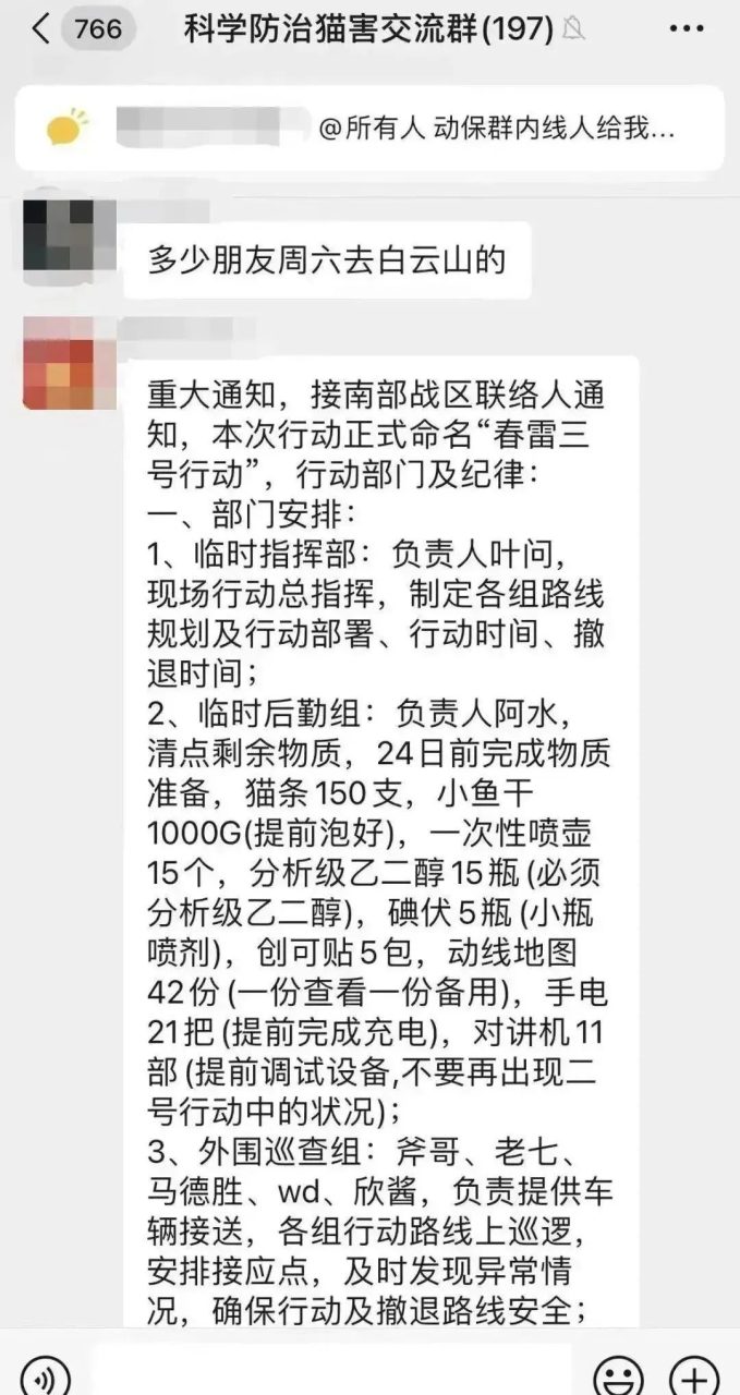 虐猫团伙预谋在广州公园下毒手,流浪猫命运如何? 虐猫团伙预谋在广州公园下毒手,流浪猫命运如何?