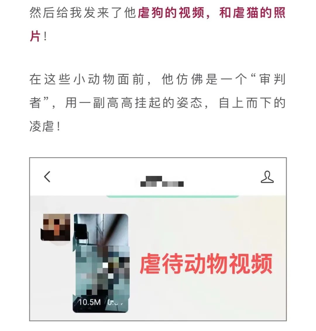 虐猫团伙预谋在广州公园下毒手,流浪猫命运如何? 虐猫团伙预谋在广州公园下毒手,流浪猫命运如何?