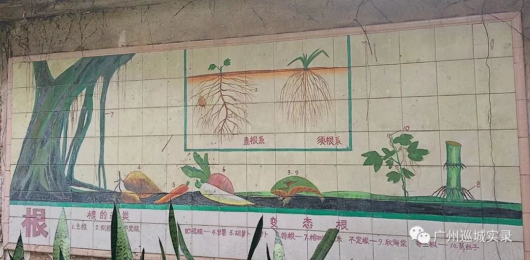 广州瓷画 广州瓷画