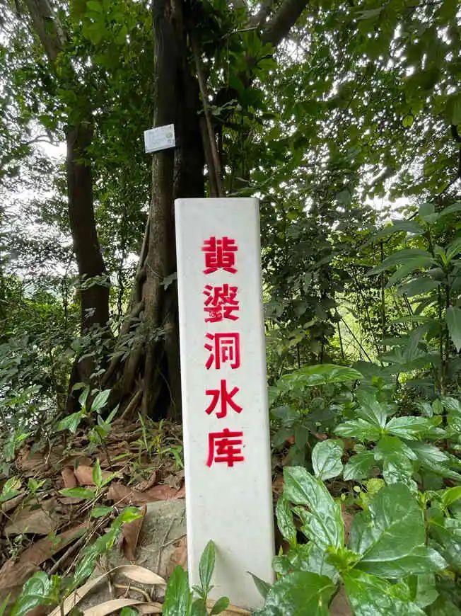 云山见证广州 把脉广州“儒释道” || 闻逊 云山见证广州 把脉广州“儒释道” || 闻逊