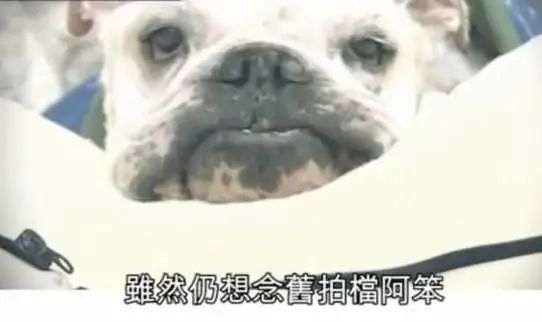 大家都没看过的《阿笨与阿占》大结局,究竟是怎样的? 大家都没看过的《阿笨与阿占》大结局,究竟是怎样的?