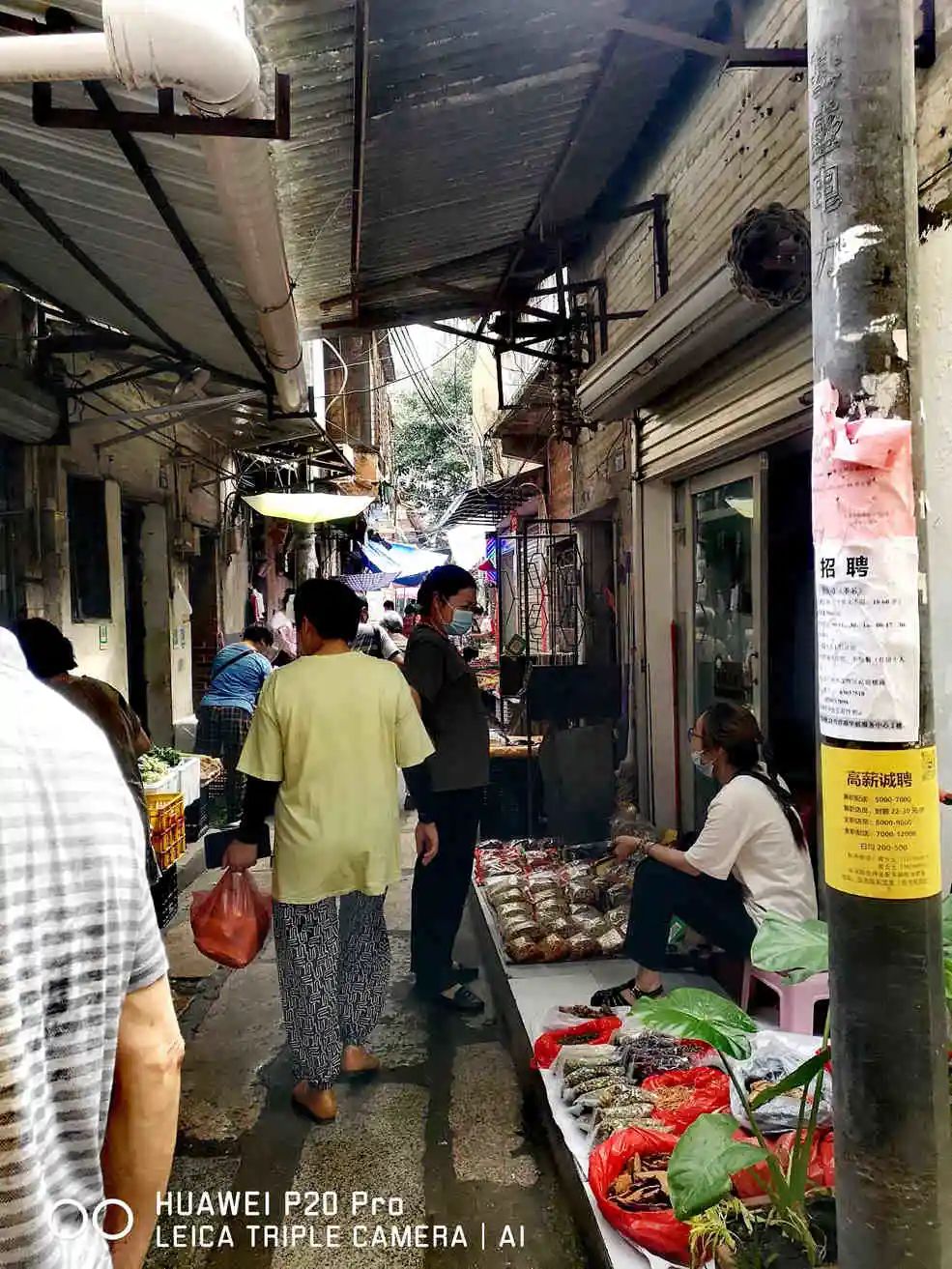 走近西村 || 明志辉 走近西村 || 明志辉