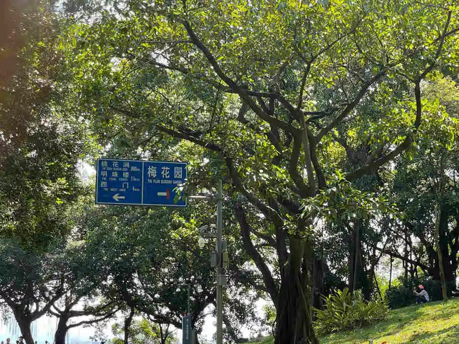 云山见证广州 把脉广州“儒释道” || 闻逊 云山见证广州 把脉广州“儒释道” || 闻逊