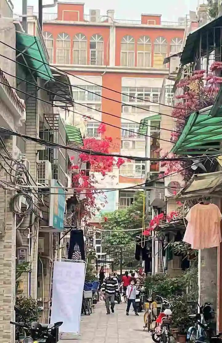 任溶溶的广州足印广州情 || 荔人行 任溶溶的广州足印广州情 || 荔人行