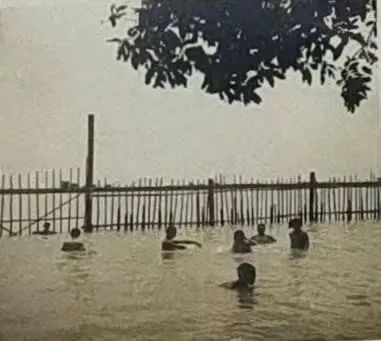 任溶溶的广州足印广州情 || 荔人行 任溶溶的广州足印广州情 || 荔人行