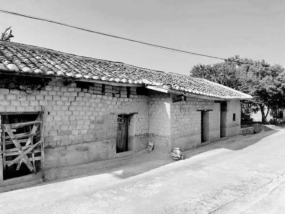 知青扎根后的失魂生活碎片 || 莫依慈 知青扎根后的失魂生活碎片 || 莫依慈