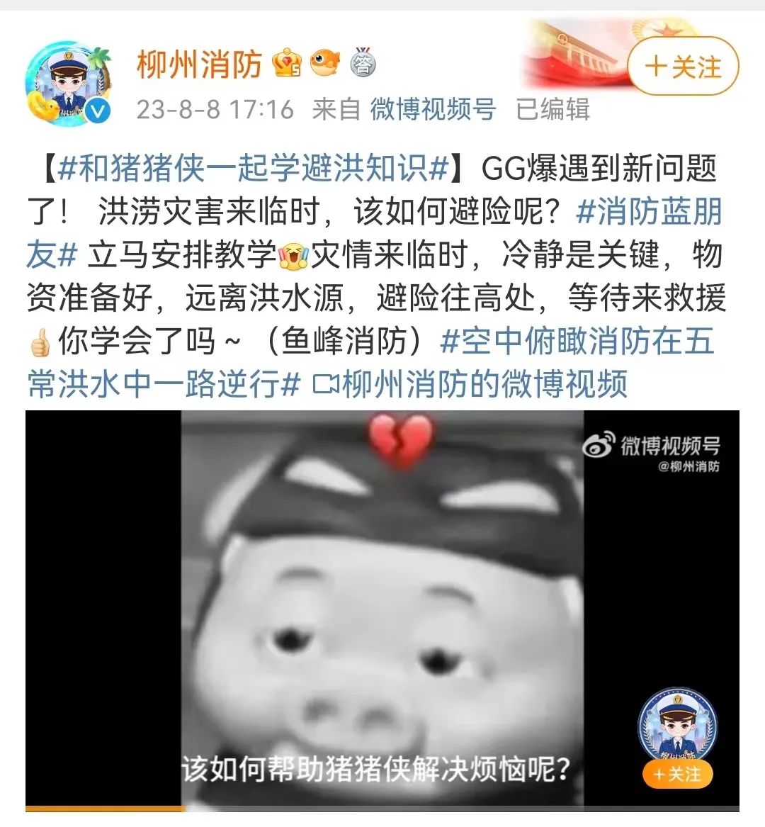 原来那么多卡通片都在广东创作,却鲜有粤语配音…… 原来那么多卡通片都在广东创作,却鲜有粤语配音……