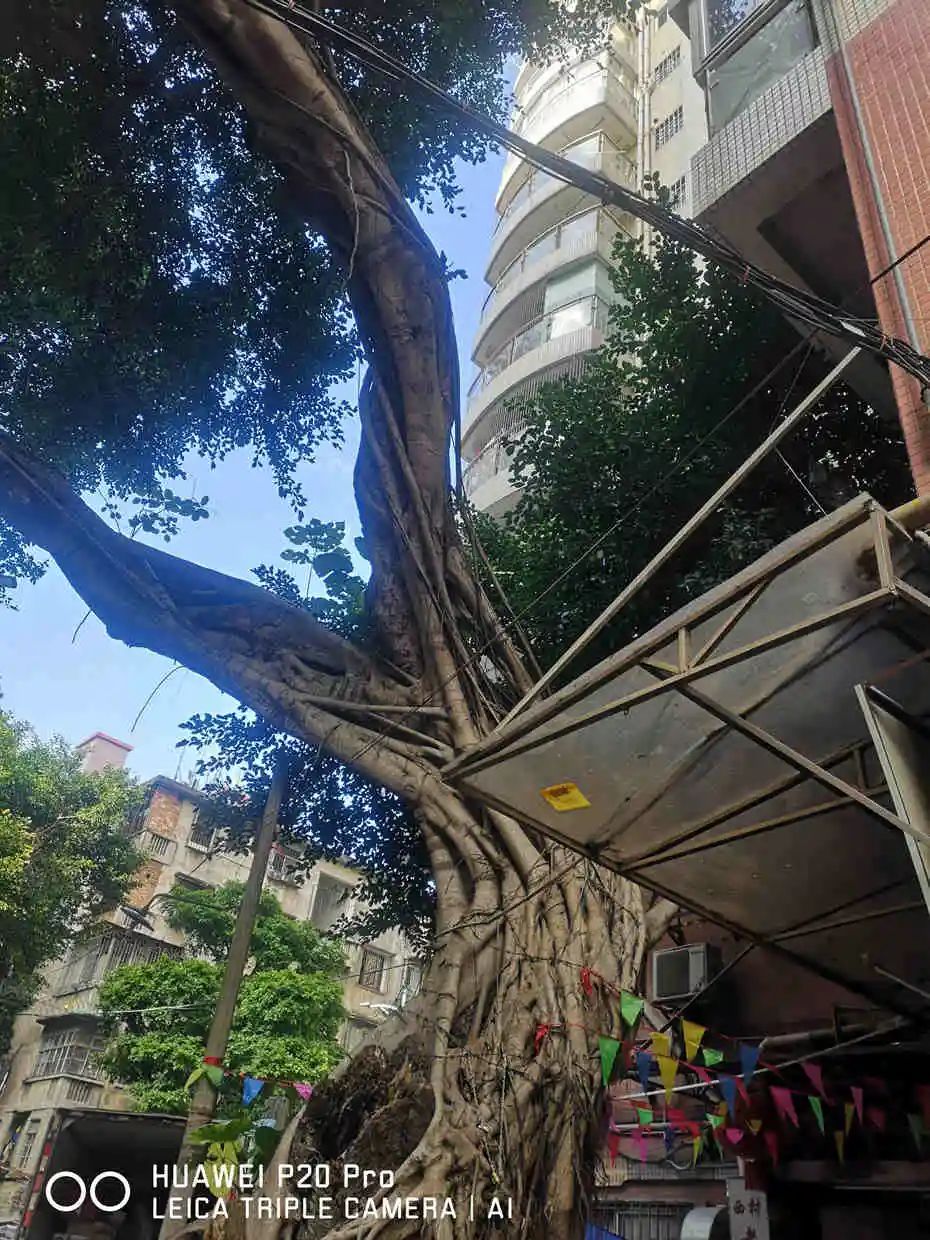 走近西村 || 明志辉 走近西村 || 明志辉