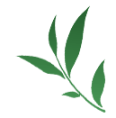 六榕寺:有风景,还有广东国画研究会 || 荔人行 六榕寺:有风景,还有广东国画研究会 || 荔人行