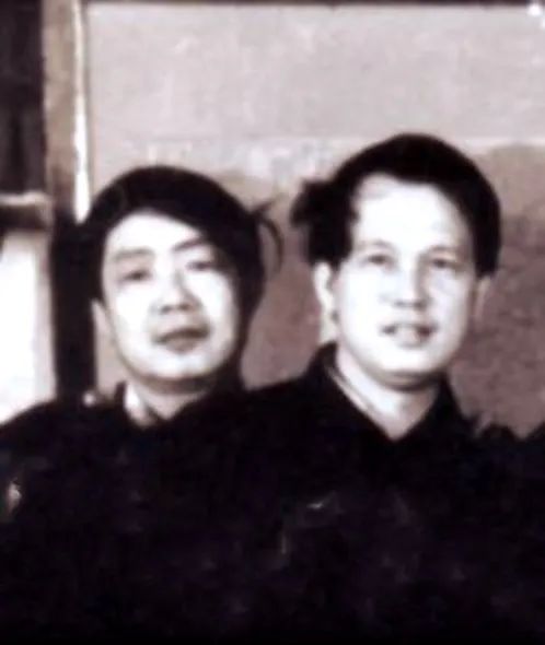 《花城》杂志是怎样诞生的 《花城》杂志是怎样诞生的