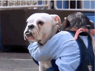 大家都没看过的《阿笨与阿占》大结局,究竟是怎样的? 大家都没看过的《阿笨与阿占》大结局,究竟是怎样的?