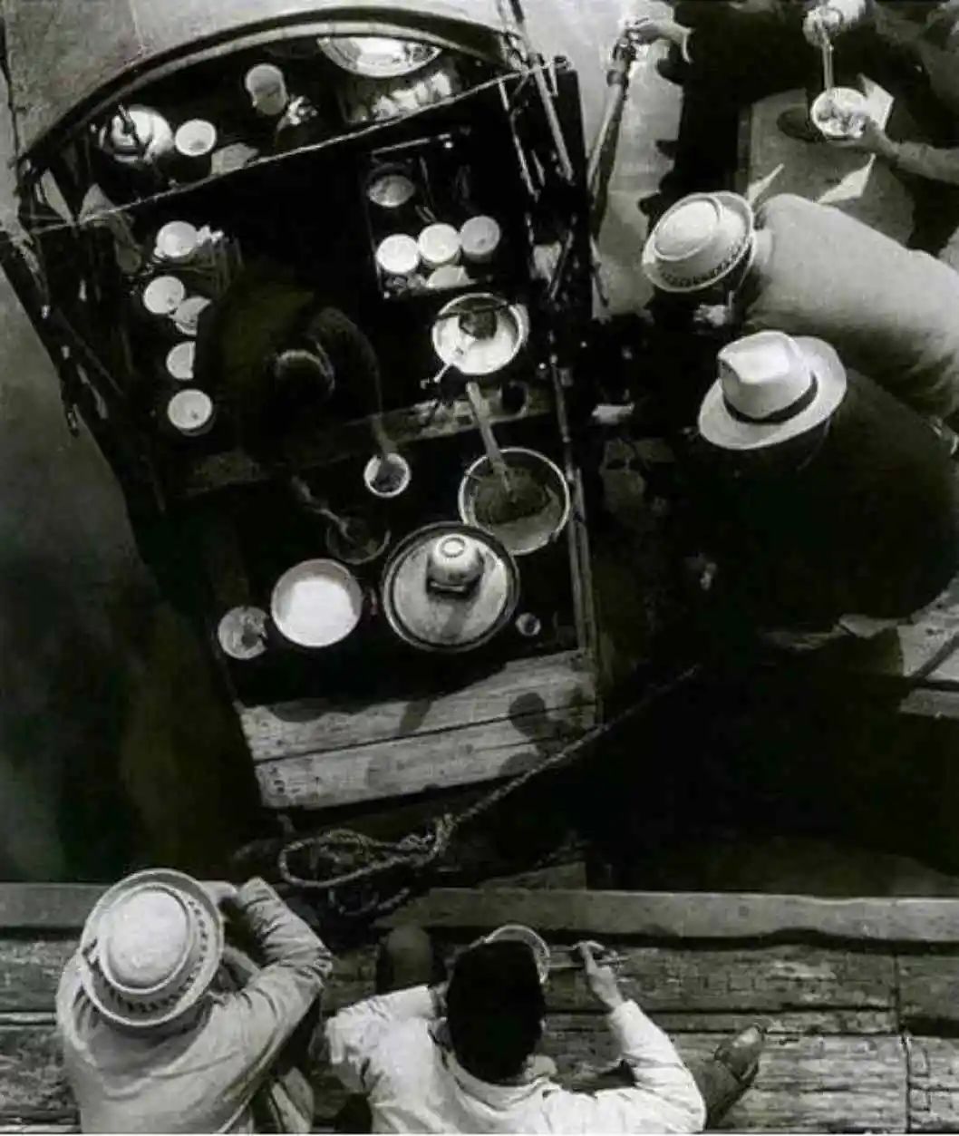 任溶溶的广州足印广州情 || 荔人行 任溶溶的广州足印广州情 || 荔人行