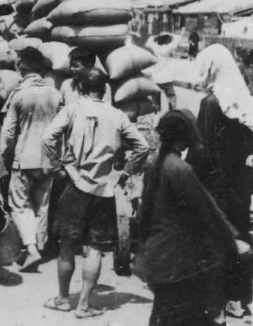 回忆当年广州搬运工人 || 谭杏 回忆当年广州搬运工人 || 谭杏