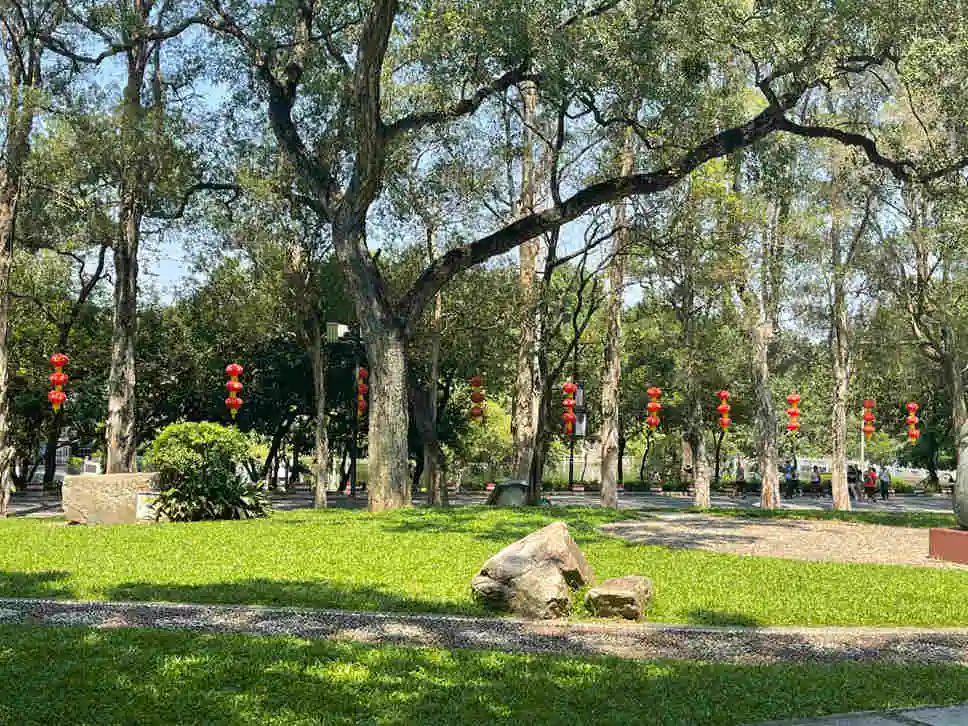 云山见证广州 把脉广州“儒释道” || 闻逊 云山见证广州 把脉广州“儒释道” || 闻逊