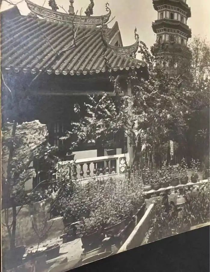 六榕寺:有风景,还有广东国画研究会 || 荔人行 六榕寺:有风景,还有广东国画研究会 || 荔人行