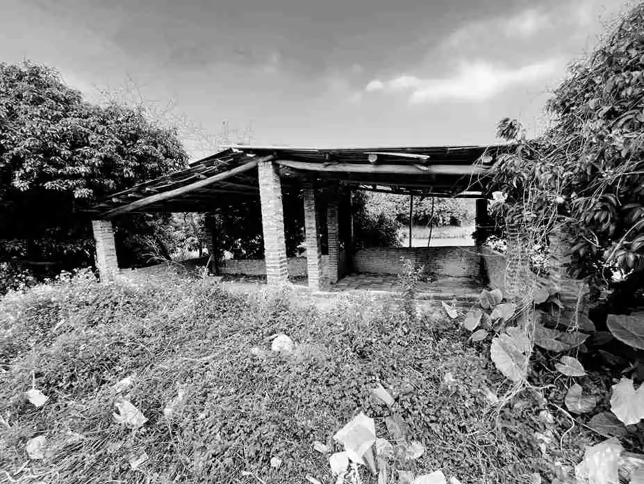 知青扎根后的失魂生活碎片 || 莫依慈 知青扎根后的失魂生活碎片 || 莫依慈