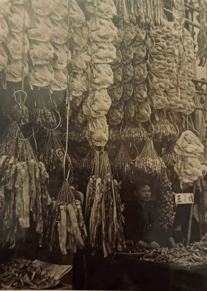 任溶溶的广州足印广州情 || 荔人行 任溶溶的广州足印广州情 || 荔人行