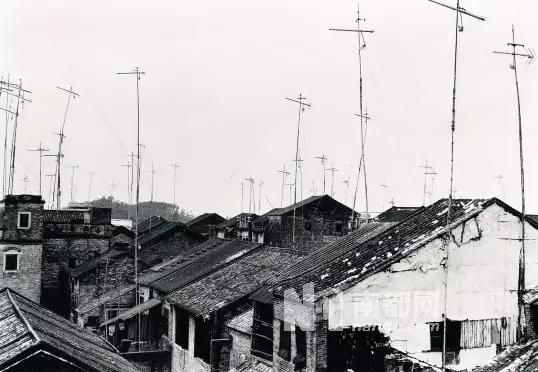 粤语身世之谜:南蛮鴃舌还是华夏古音? 粤语身世之谜:南蛮鴃舌还是华夏古音?