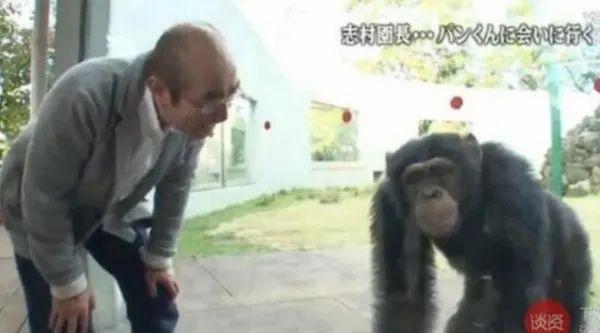 大家都没看过的《阿笨与阿占》大结局,究竟是怎样的? 大家都没看过的《阿笨与阿占》大结局,究竟是怎样的?