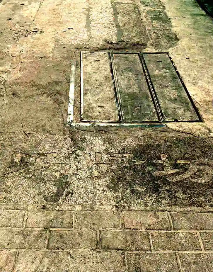 任溶溶的广州足印广州情 || 荔人行 任溶溶的广州足印广州情 || 荔人行