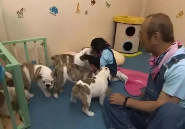 大家都没看过的《阿笨与阿占》大结局,究竟是怎样的? 大家都没看过的《阿笨与阿占》大结局,究竟是怎样的?