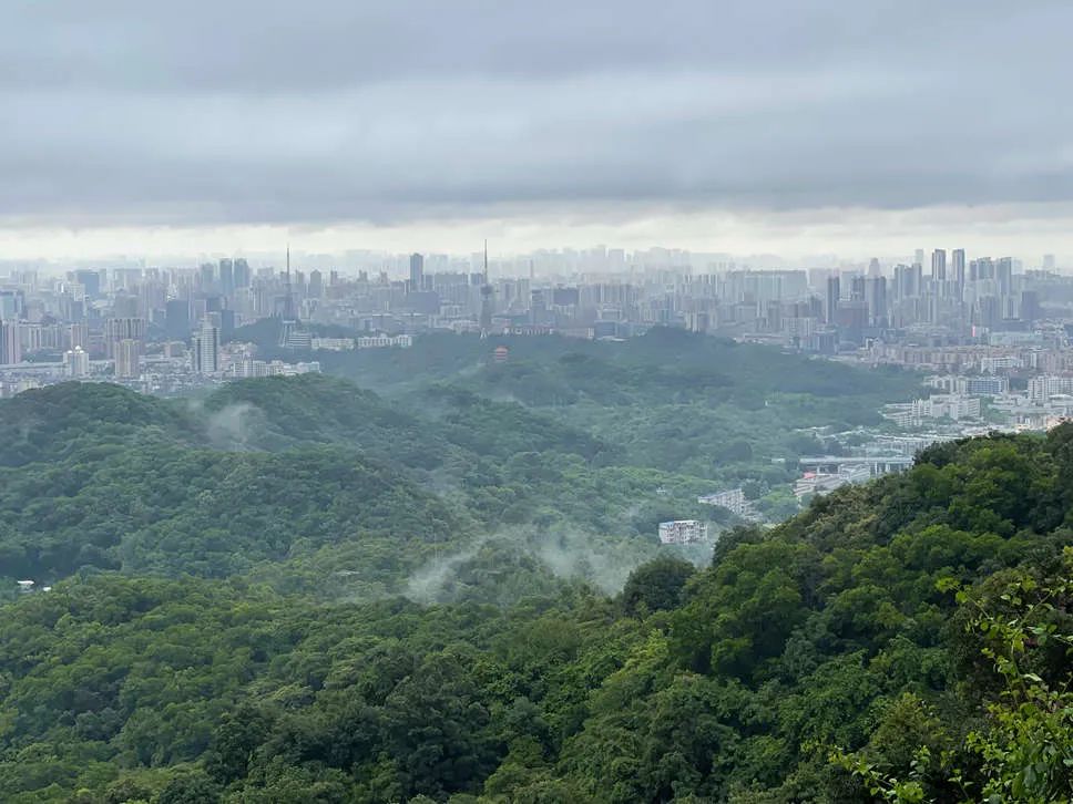云山见证广州 把脉广州“儒释道” || 闻逊 云山见证广州 把脉广州“儒释道” || 闻逊