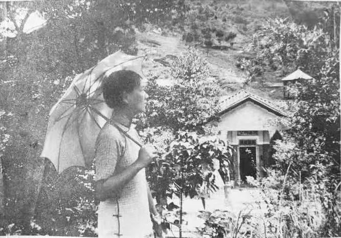 与荔枝湾、白云山有关的素社直街 || 荔人行 与荔枝湾、白云山有关的素社直街 || 荔人行