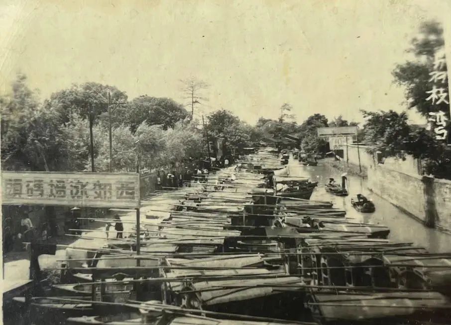 任溶溶的广州足印广州情 || 荔人行 任溶溶的广州足印广州情 || 荔人行