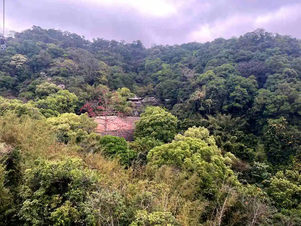 南越国灭亡后,广州沦为废墟?|| 冯沛祖 南越国灭亡后,广州沦为废墟?|| 冯沛祖