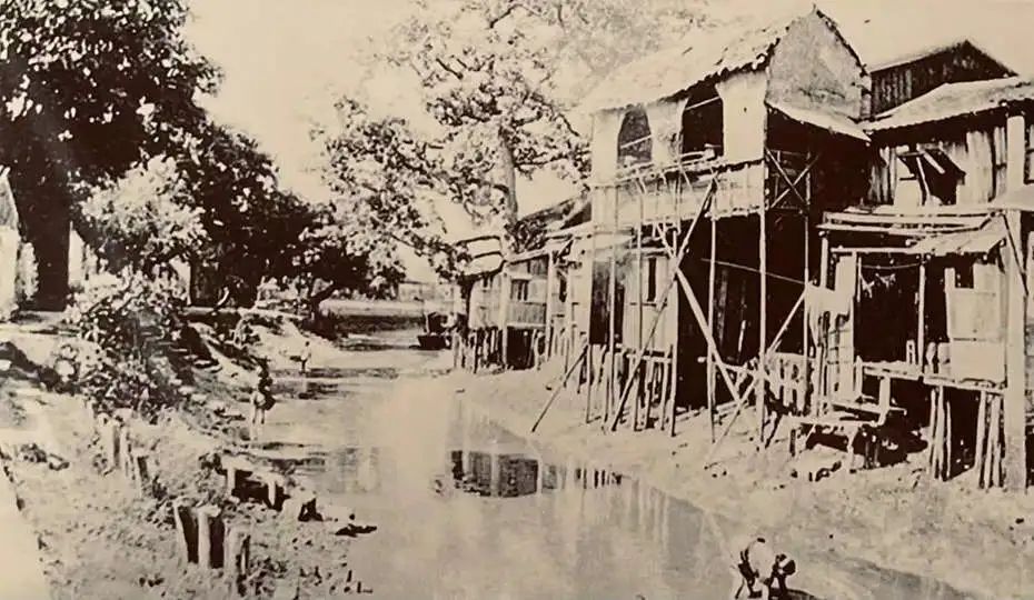 与荔枝湾、白云山有关的素社直街 || 荔人行 与荔枝湾、白云山有关的素社直街 || 荔人行