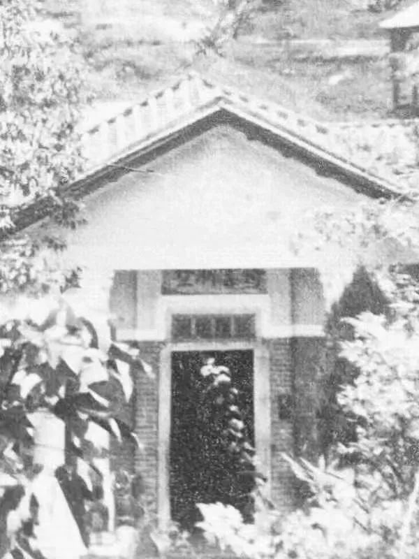 与荔枝湾、白云山有关的素社直街 || 荔人行 与荔枝湾、白云山有关的素社直街 || 荔人行