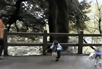 大家都没看过的《阿笨与阿占》大结局,究竟是怎样的? 大家都没看过的《阿笨与阿占》大结局,究竟是怎样的?